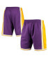 ფოტო #2 პროდუქტის Men's Purple Los Angeles Lakers 1984 Hardwood Classics 75th Anniversary Swingman Shorts