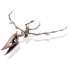 Фото #3 товара 4M Kidzlabs/Dig A Pteranodon Skeleton Labs Kit