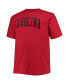 Фото #3 товара Men's Garnet South Carolina Gamecocks Big and Tall Arch Team Logo T-shirt