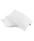 Won't Go Flat 2-Pack Pillows, Standard/Queen