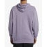 BILLABONG Wave Washed hoodie