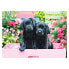 Puzzle Black Labs in Pink Box
