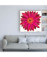 Фото #3 товара June Erica Vess Bright Blossoms III Childrens Art Canvas Art - 15.5" x 21"