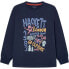 Фото #1 товара HACKETT Graphic long sleeve T-shirt