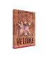 Фото #2 товара Melinda Hipsher 'Country Star Welcome' Canvas Art - 22" x 32"