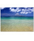 Фото #1 товара Картина на холсте Trademark Global 'Hawaii Blue Beach', 30" x 47"