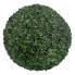 Фото #1 товара Декоративное растение Зеленый PVC 37 x 37 cm