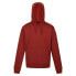 Фото #4 товара REGATTA Ortolan hoodie fleece