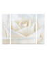 Cora Niele 'Pure White Rose' Multi Panel Art Set Large - 30" x 41" x 2"