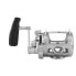 Фото #3 товара PENN International 30W VI Conventional Fishing Reel - Silver