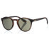 Фото #2 товара SUPERDRY Saratoga 102 sunglasses