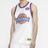Фото #3 товара Майка баскетбольная Nike NBA 2 Space Jam23 Одежда для мужчин