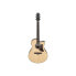 Фото #1 товара Ibanez AAM380CE-NT B-Stock