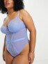 Фото #7 товара Ivory Rose Curve B-G lace mesh bodysuit in blue