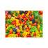 Фото #1 товара Puzzle Obst und Gemüse