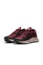 Фото #4 товара Pegasus Trail 2 Bordo Unisex Koşu Ayakkabısı Ck4309-600