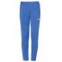 Фото #1 товара UHLSPORT Score Tracksuit Pants