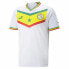 Фото #1 товара Спортивная футболка с коротким рукавом, мужская Puma Senegal Белый