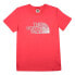 THE NORTH FACE Biner Graphic 1 short sleeve T-shirt