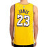 Фото #4 товара Футболка мужская Nike NBA SW 19-20 Лейкерс Леброн 23 номер Желтая