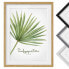 Фото #2 товара Bild Aquarell Botanik Trachycarpus IV