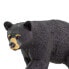 Фото #5 товара Фигурка Safari Ltd Black Bear 2 Figure Wild Safari (Дикая Сафари).