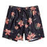 Фото #3 товара QUIKSILVER Everyday Mix Volley 17´´ Swimming Shorts