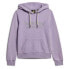 SUPERDRY Metallic Venue Logo hoodie