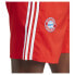 Фото #5 товара ADIDAS FC Bayern Munich 23/24 Dna Shorts