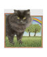 Фото #1 товара Francien Van Westering 'Black Cat And Rainbow' Canvas Art - 14" x 14"