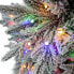 Фото #7 товара Weihnachtsbaum George mit LED