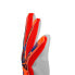 Фото #4 товара Вратарские перчатки Reusch Attrakt Starter Solid junior для подростков