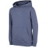 Фото #1 товара Sweatshirt 4F Jr. HJZ22 JBLD003 32S