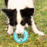 Фото #17 товара Замораживаемая жевательная игрушка 2-в-1 для домашних животных Glubiz InnovaGoods