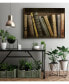 Фото #2 товара 36" x 24" Vintage Like Book Collection II Museum Mounted Canvas Print
