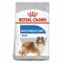 Фото #2 товара ROYAL CANIN CCN Maxi Digestive Care 12kg Dog Food