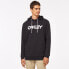 Фото #1 товара [FOA402599-022] Mens Oakley B1B PO HOODIE 2.0