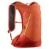 Фото #1 товара SALOMON Cross 8L backpack