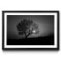Фото #1 товара Gerahmtes Bild Tree Sunset
