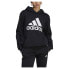 Фото #1 товара Толстовка спортивная Adidas Essentials Logo Fleece Hoodie