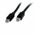 Фото #1 товара Кабель Mini DisplayPort Startech MDISP2M (2 m) 4K Ultra HD Чёрный