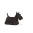 Фураж Royal Canin Mini Dermacomfort Для взрослых Телятина Растительный 3 Kg