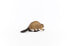 Фото #5 товара Игровая фигурка Schleich Beaver 14855 Wild Life (Дикая природа)