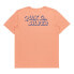 QUIKSILVER Shadow Knock short sleeve T-shirt