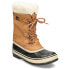 Sorel Winter Carnival