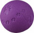 Фото #3 товара Игрушка для собак TRIXIE ПЛЯЖНАЯ мяч 9,5 см