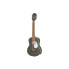 Ortega RUGA-PLT Ukulele B-Stock