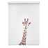 Klemmfix Rollo Giraffe
