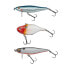 BERKLEY Pulse Pack minnow