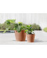 Фото #3 товара Amsterdam Modern Round Indoor and Outdoor Planter, 12in